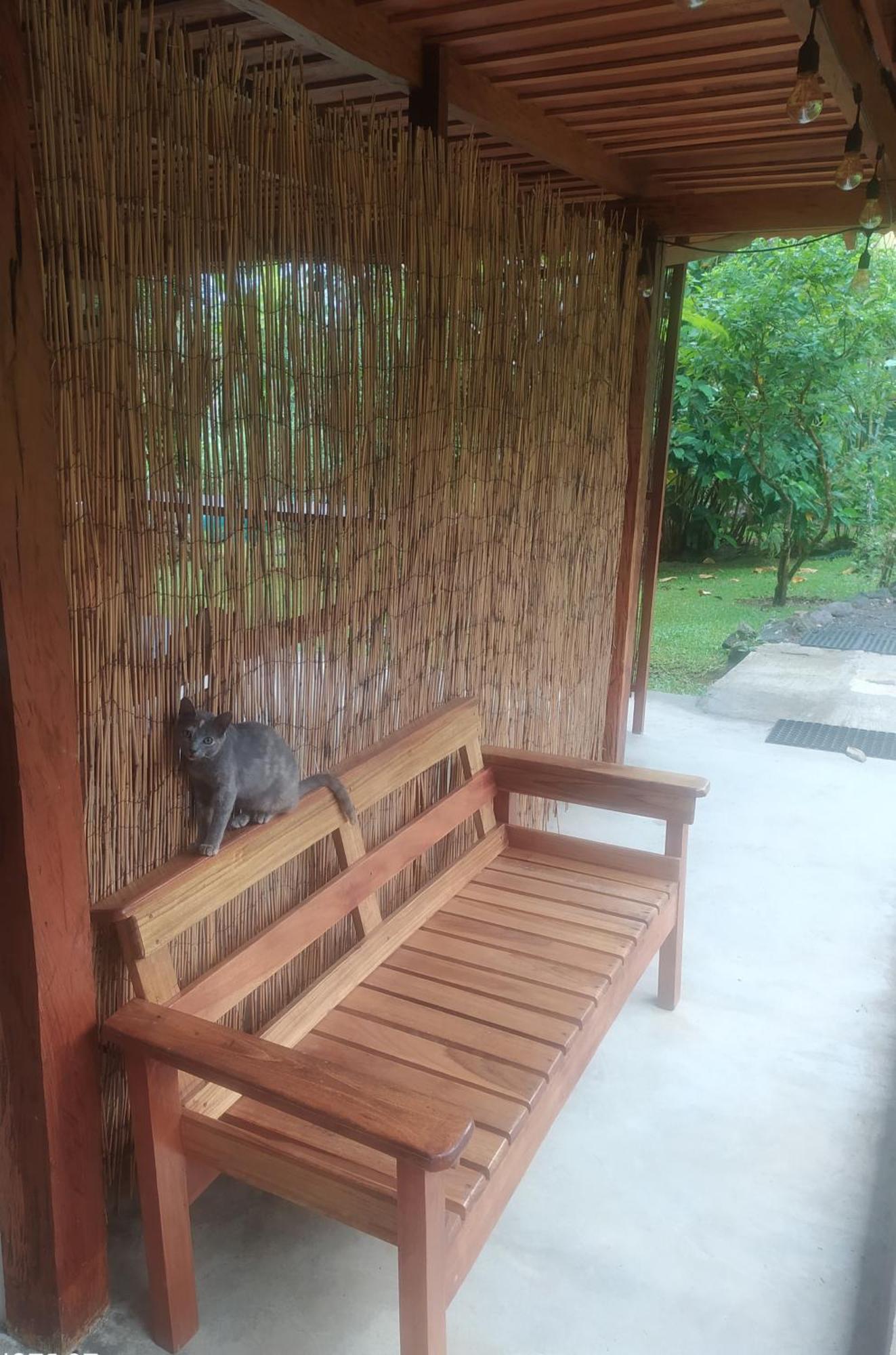 Mineral River Eco Village Upala Exterior foto